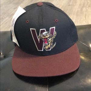 Vintage SnapBack Wisconsin rattlers hat